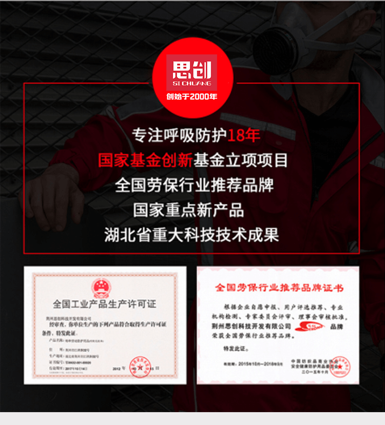 ST-FDG防毒半面具（硅胶）含LDH3滤毒盒-亚游国际